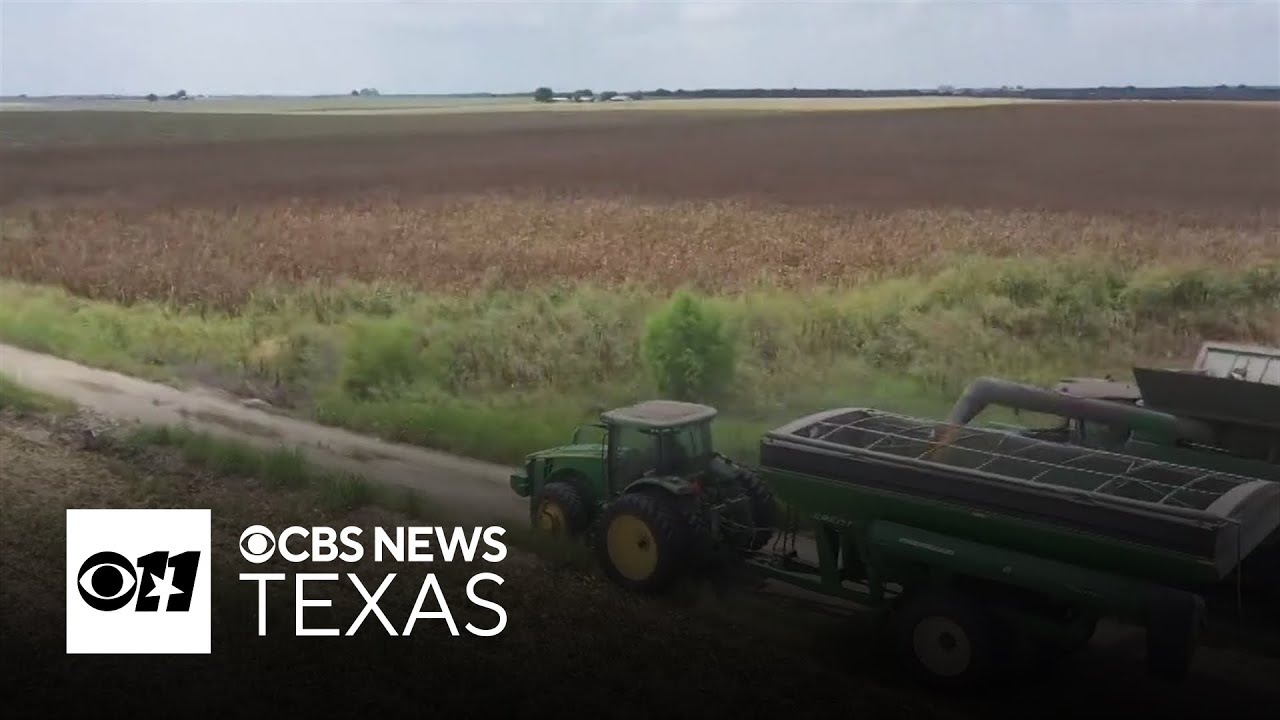 Texas farmers rely on migrant labor as H2A costs, red tape strain operations