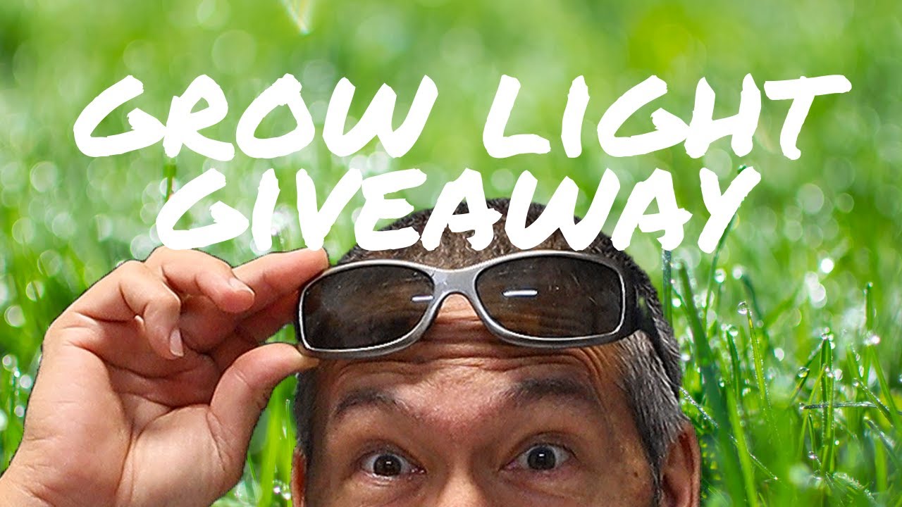 Grow light Giveaway!!