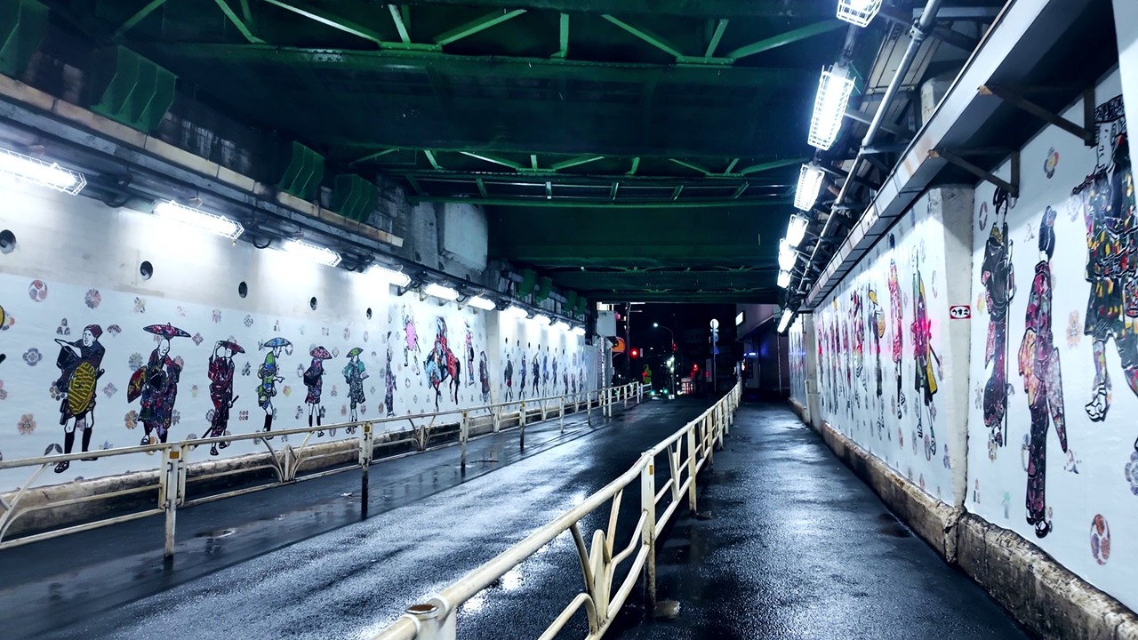 Late Night Walk from Shinjuku South Exit to Yoyogi Station / Tokyo