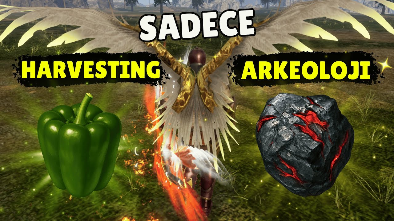 Sadece Arkeoloji ve Harvesting D&ouml;nmek Mantıklı Mı ? / Rise Online World