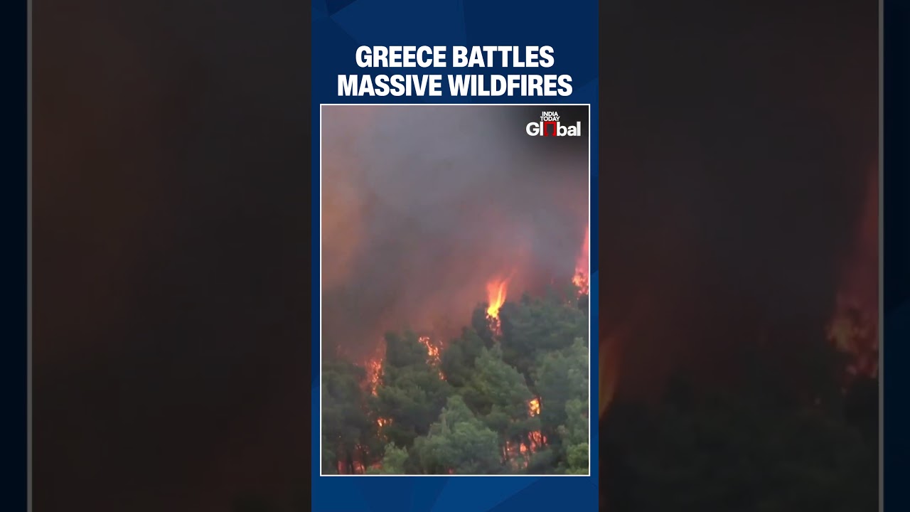 Greek Firefighters Race To Save Porto Germeno From Wildfires