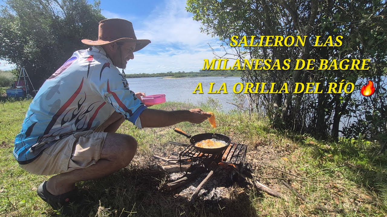 PESCA Y COCINA ,MILANESAS DE BAGRE Y MUCHA PESCA EN EL RÍO TTACUARÍ