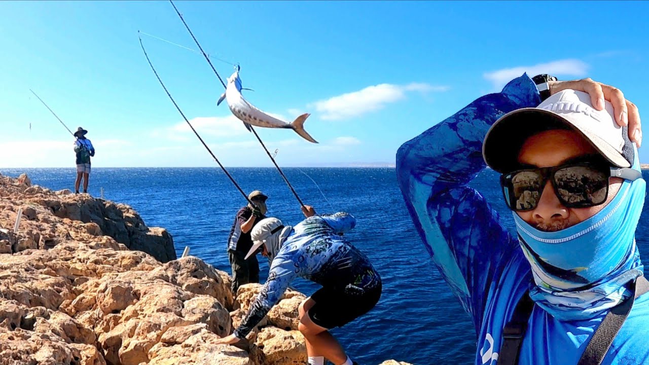 CRAZY Mackeral Fishing: Battling SHARKS To Catch Dinner!