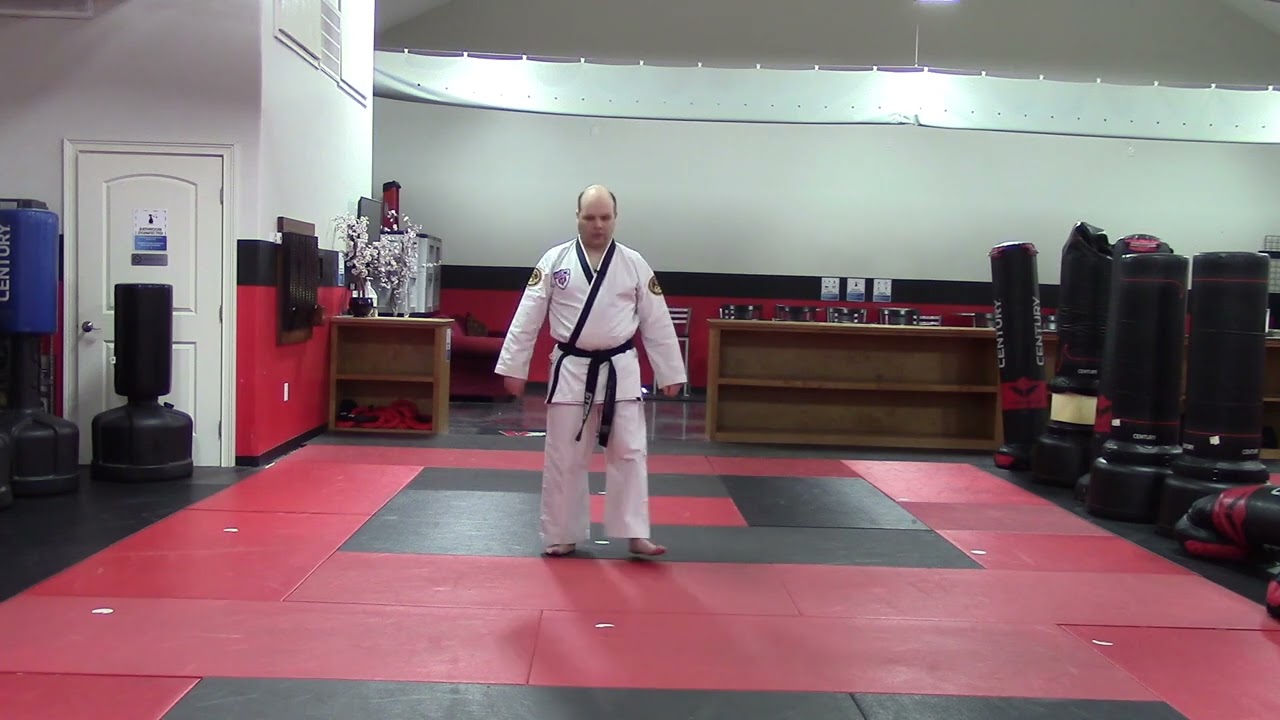 Jr. White/Orange/Yellow Belt One Steps