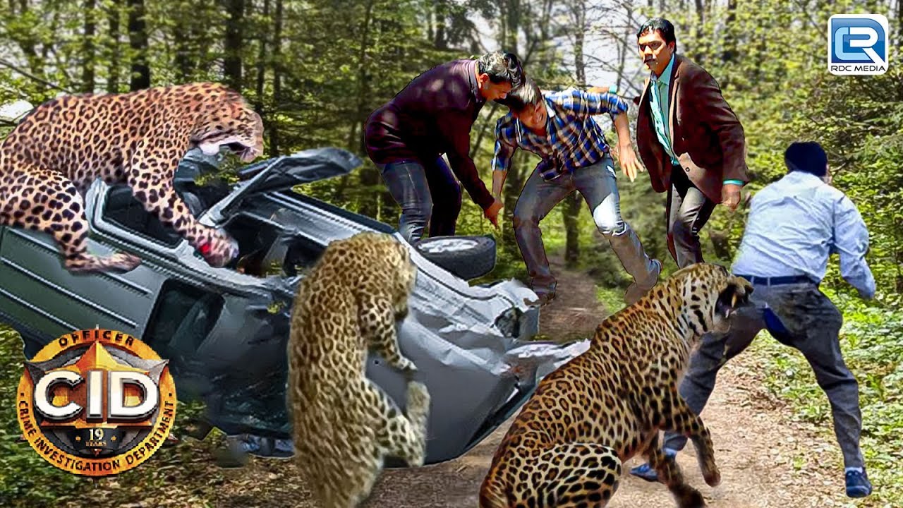 एक Ferocious Cheetah ने किया CID Team पर हमला | सी.आई.डी | Episode 1381