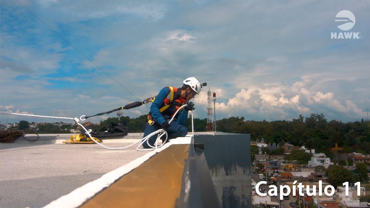 Capítulo 11 Aprendamos juntos Fall Protection. Líneas de vida.