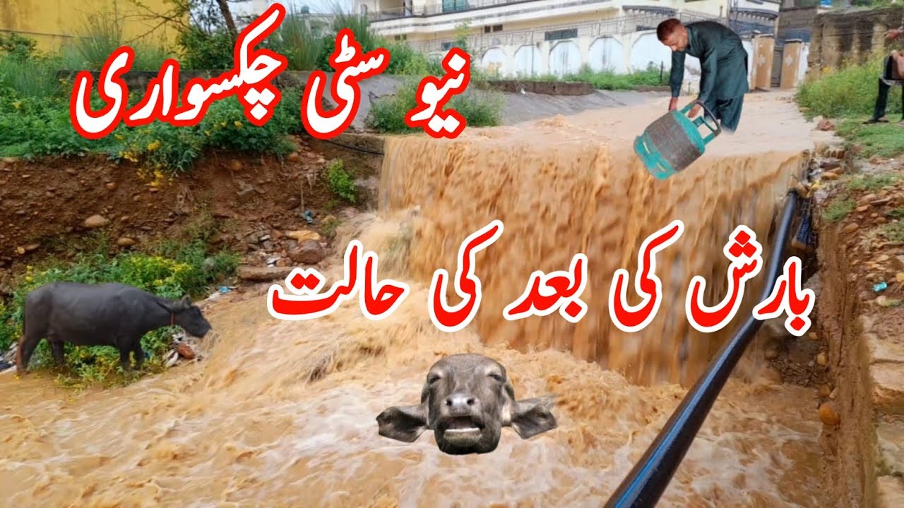 Road condition of New City Chakswari after rain #video #road #condition #new #city #chakswari #rain