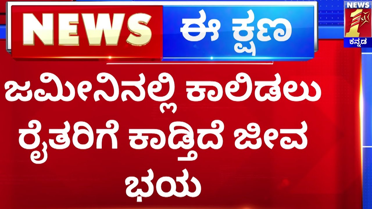 Kalaburagi : ಜಮೀನಿನಲ್ಲಿ ಕಾಲಿಡಲು ರೈತರಿಗೆ ಕಾಡ್ತಿದೆ ಜೀವ ಭಯ | Heavy Rainfall Effects | @newsfirstkannada