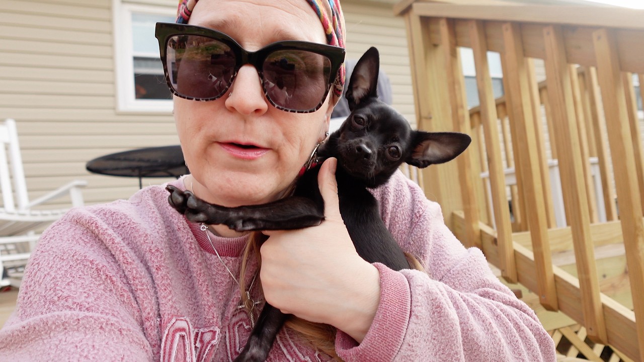 Vlog time! Food Lion Haul * Found some good deals * A little Lasagna cooking * Spring is here!