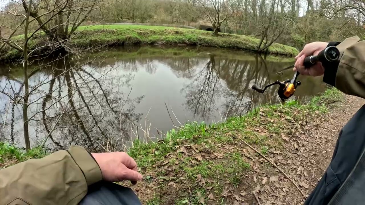 Winter Chub on the River