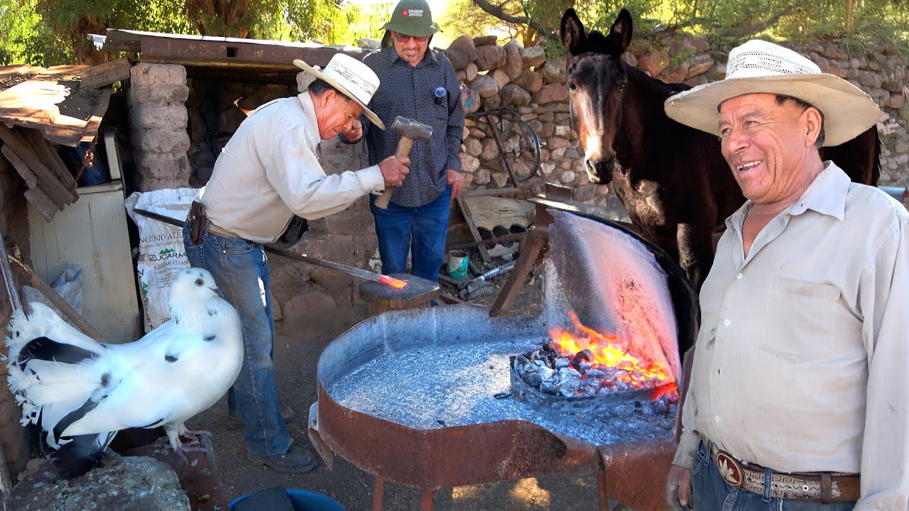 La ultima FRAGUA del RANCHO - y la atiende un ARRENDADOR de MULAS