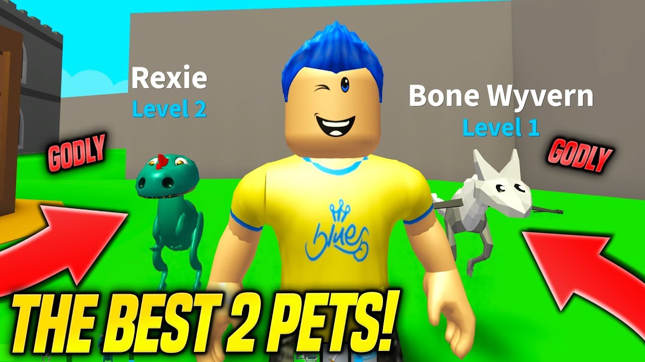 I GOT 2 GODLY PETS IN MONSTER BATTLE SIMULATOR!! *BEST PETS* (Roblox)