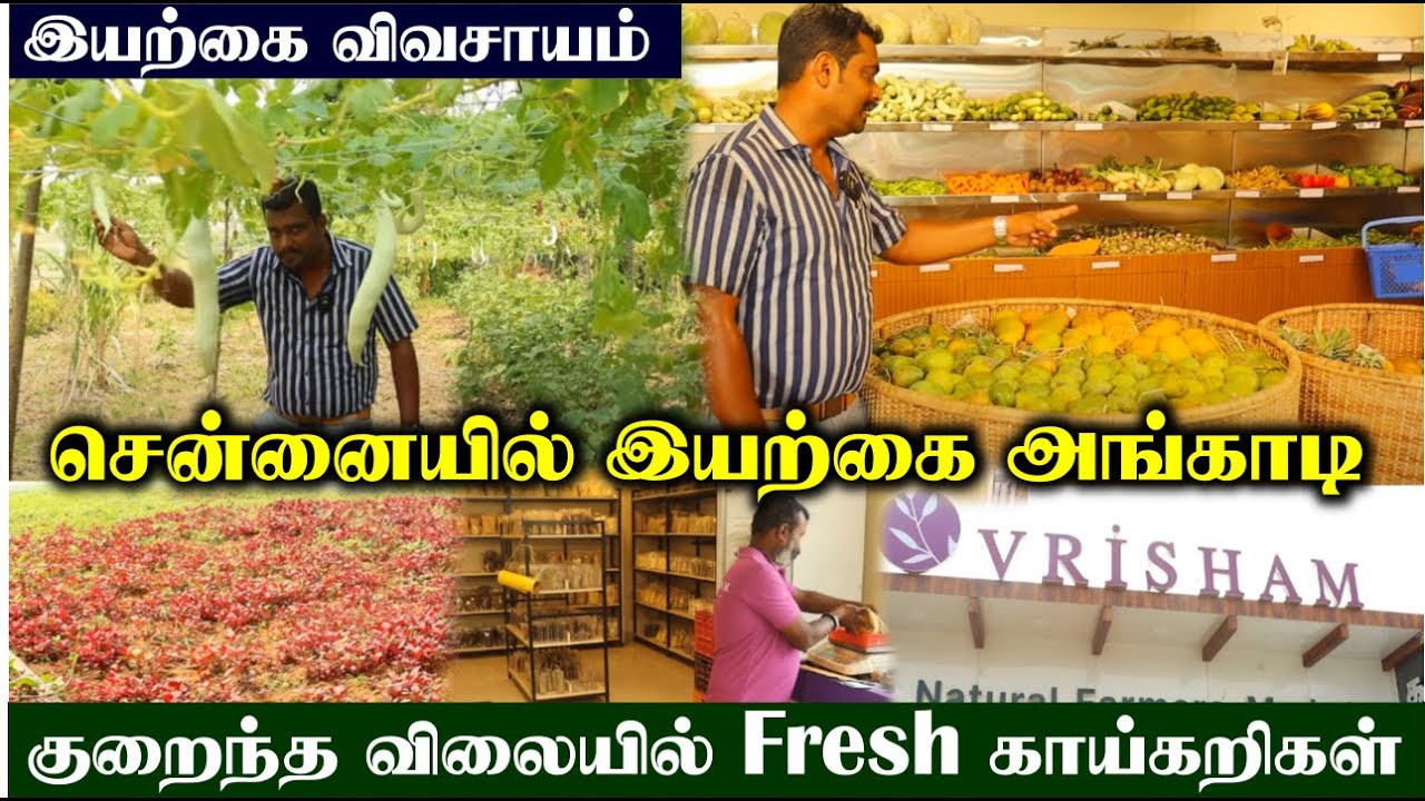 தோட்டத்திலிருந்து நேரடி விற்பனை அங்காடி  | Organic Store In Chennai | Vrisham Organic Farm