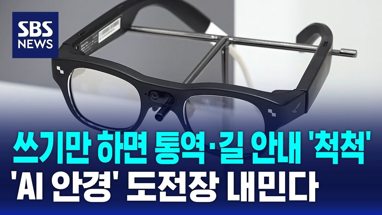 쓰기만 하면 통역·길 안내 '척척'…'AI 안경' 도전장 내민다 / SBS