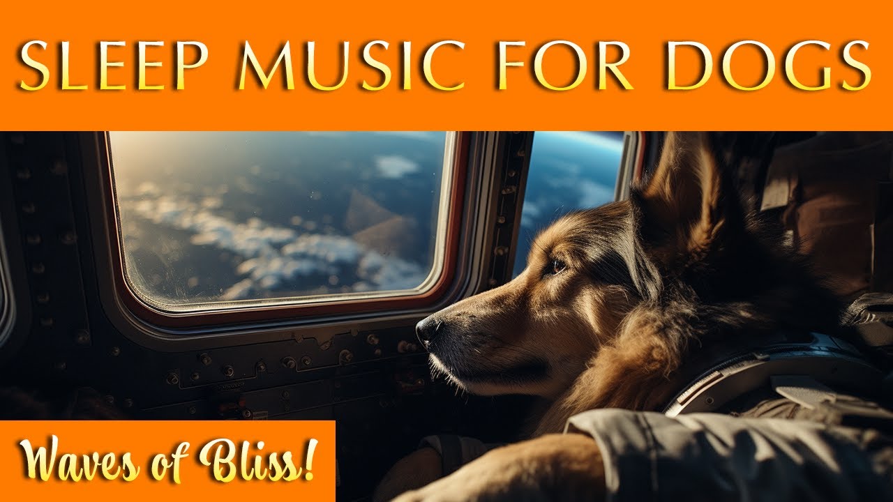 Music for Dogs to Sleep To 🐶 Gentle Ambience to Help Your Canine Snooze