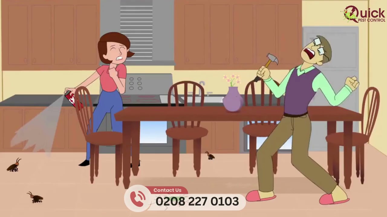 London Pest Control Experts | Same Day Service | Rats, Mice, Bed Bugs & More