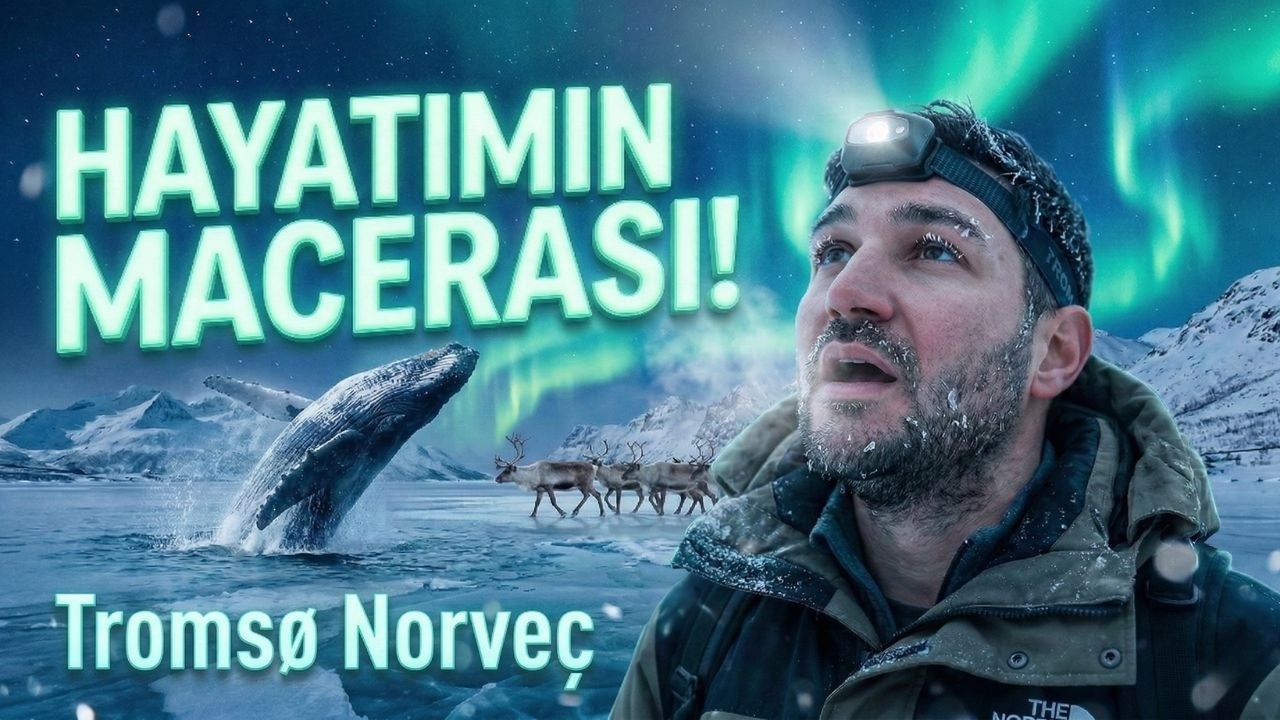 Tromsø Gezi Rehberi: Kuzey Işıklarının Başkenti 🇳🇴 | Kuzey Işıkları, Balinalar, Fiyort (Norveç VLOG)