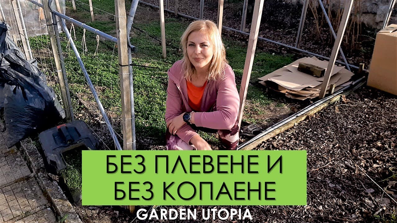 Без плевене - как лесно да създадем и поддържаме лехи за културни насаждения