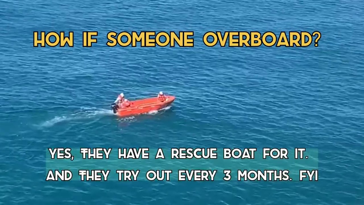 Rescue boat ⛵ 🛟 #merchantnavy  #marinerlife #lifeatsea