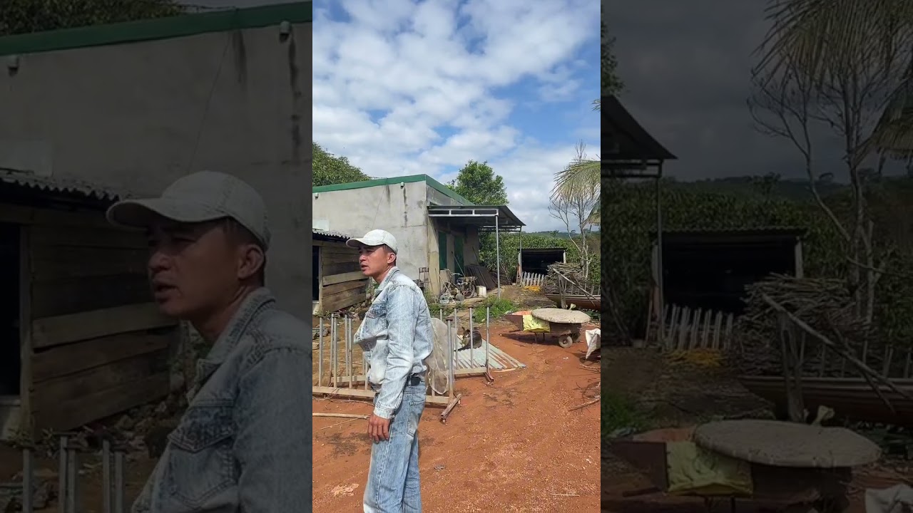 2ha caphe đang cấp,vườn caphe dep tai lam dong,nhà đất Lâm Đồng,bds Tuấn Bụi Al,vườn caphe đep