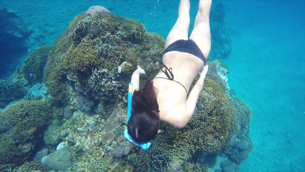 [Taiwan Diving] Freediving in Orchid Island - [蘭嶼潛水] 外國人去蘭嶼自由潛水