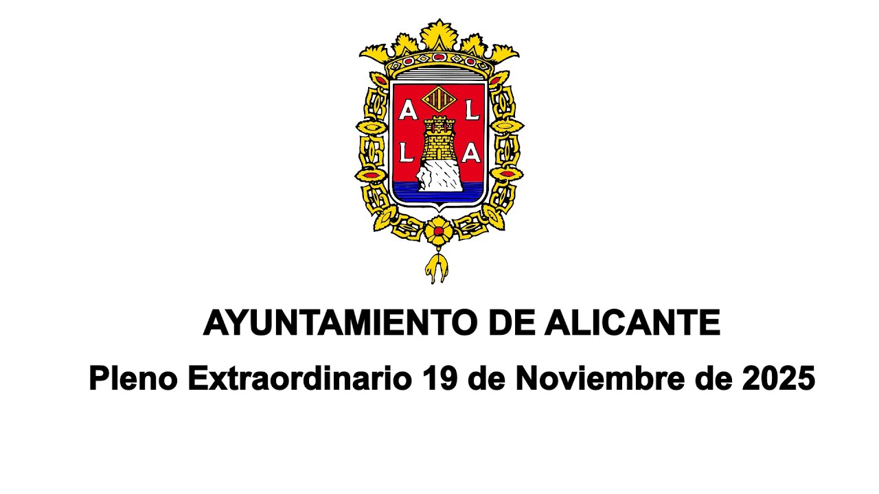 Pleno Extraordinario - 19 de noviembre de 2025