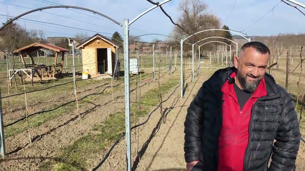 Magyarország,Profi kis ültetvény 