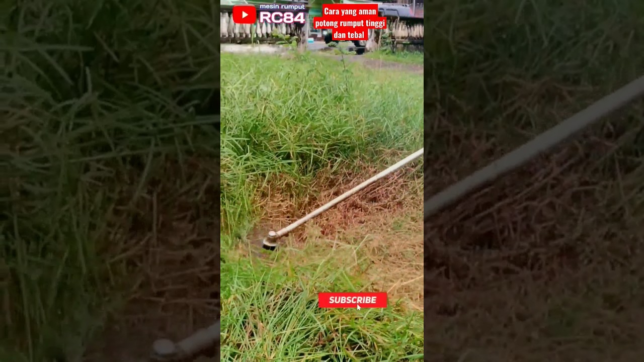 Cara Potong Rumput Tinggi dan Tebal Yang Benar #rc84 #shorts