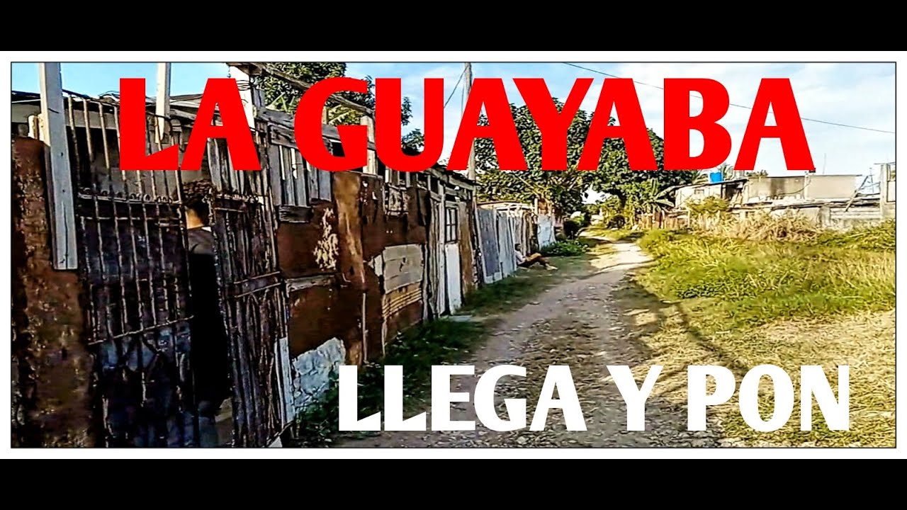LA GUAYABA _ Otro LLEGA y PON PELIGROSO para FILMAR _ MIREN lo qué me PASÓ!@Rockeando con Dyango
