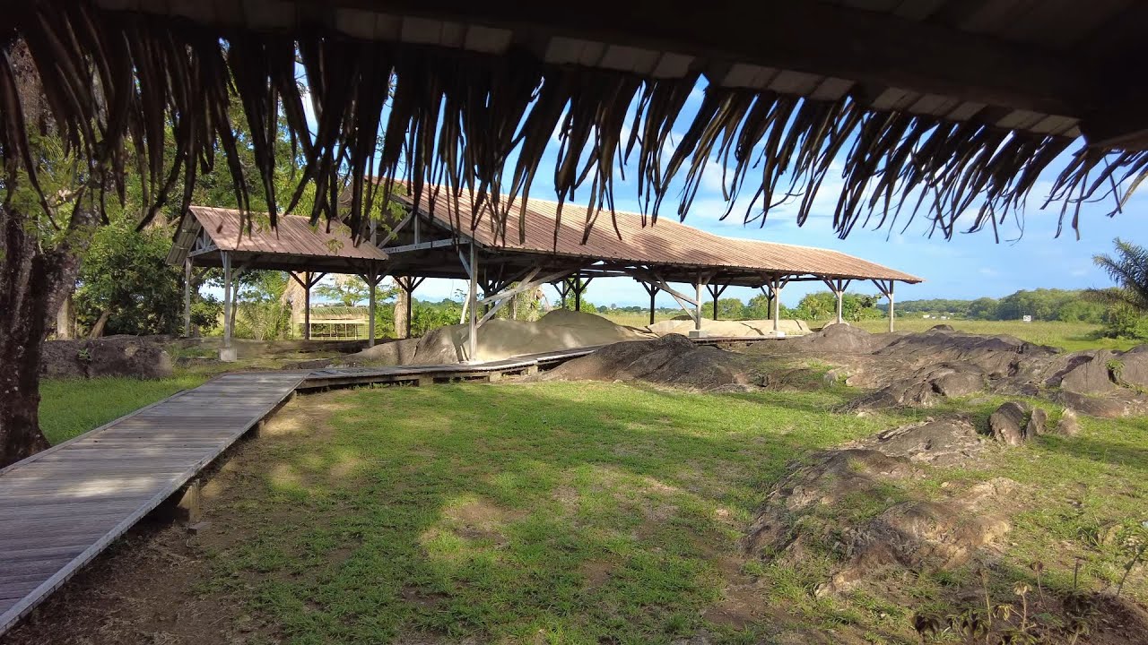 Voyage d'&eacute;tude &agrave; Kourou en Guyane
