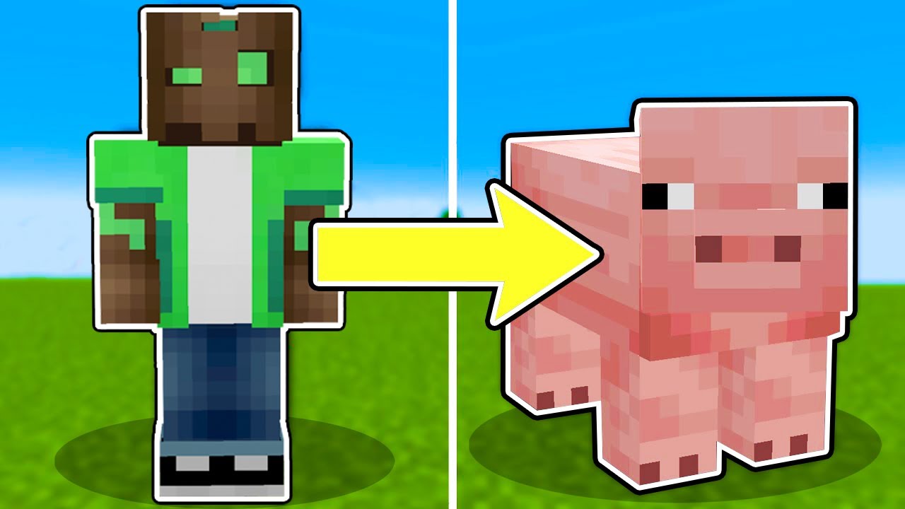 Trolle&eacute; a Mi Amigo Convierti&eacute;ndome en Mobs (Minecraft)