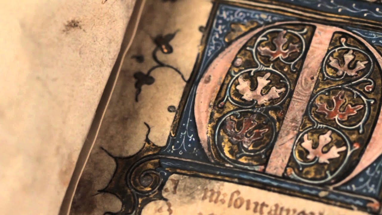 The Romance of the rose