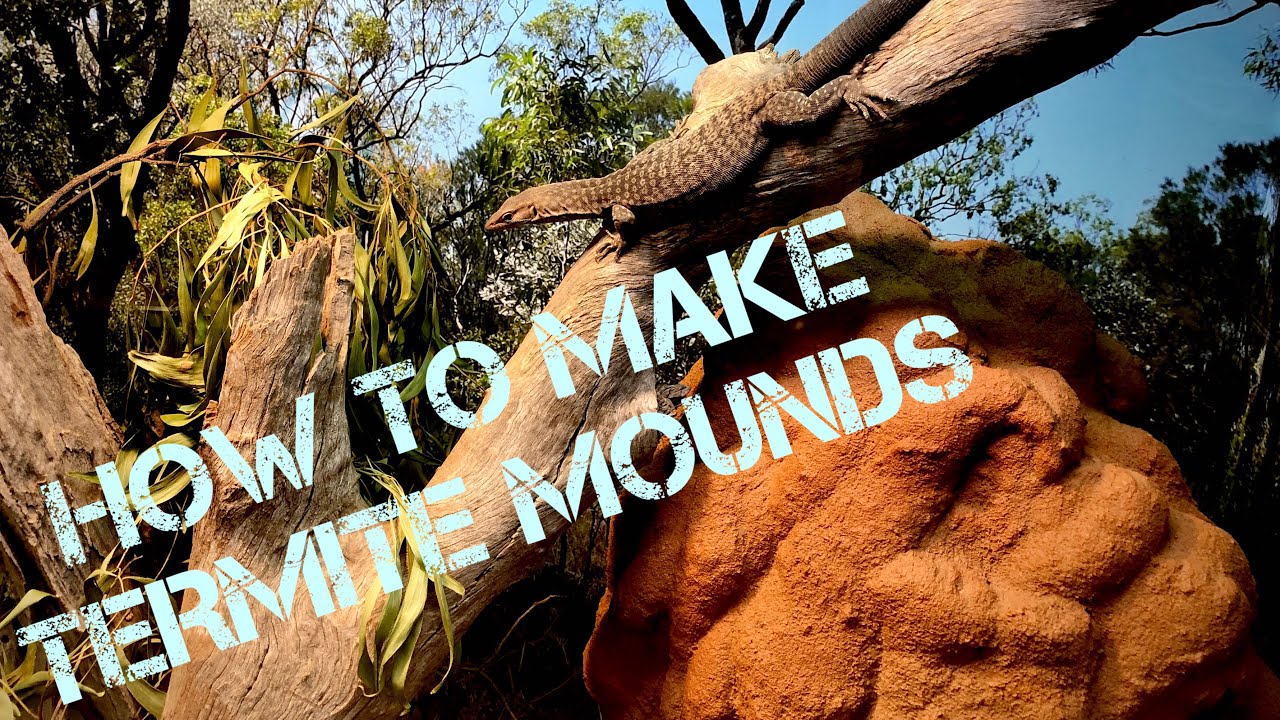 How to make TERMITE MOUND NEST BOXES for your reptile enclosures!
