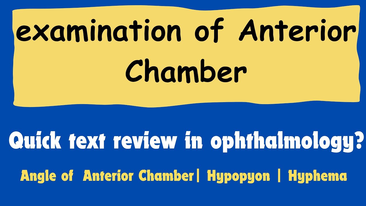 Anterior chamber of eye | Anterior segment examination | Anterior chamber angle 
