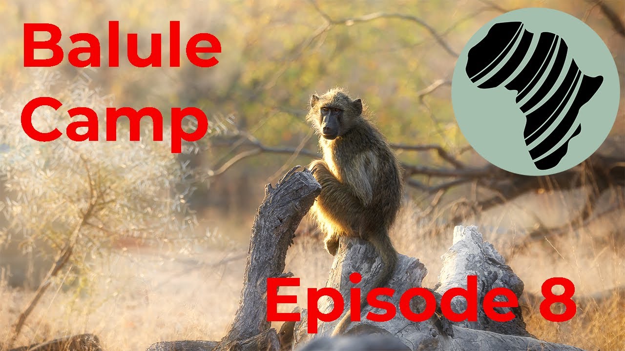 Camping at Balule, Kruger National Park, Episode 8