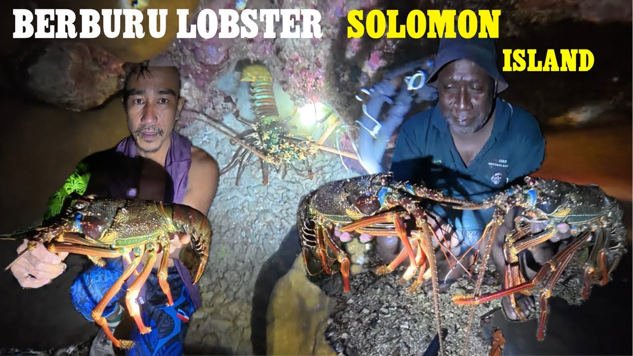 BERBURU MALAM DI LAUT // MAKAN BESAR LAGI.,! BERMACAM JENIS IKAN DAN LOBSTER KITA DAPAT
