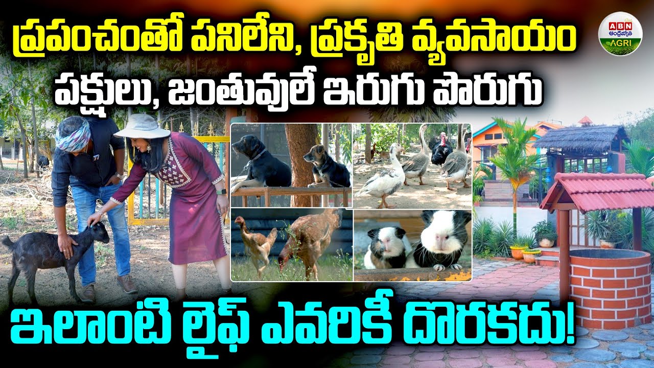 This kind of life is everyone's dream - only he can do it! | Best Farming Ideas with Sridhar - AB...