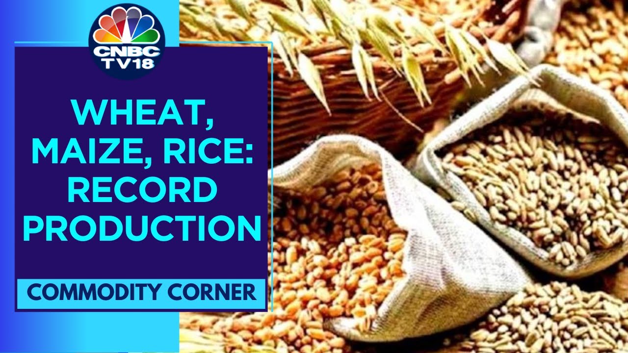 Global Food Grain Supply To Grow In 2023-24 Due To Record Production Of Wheat, Maize, Rice