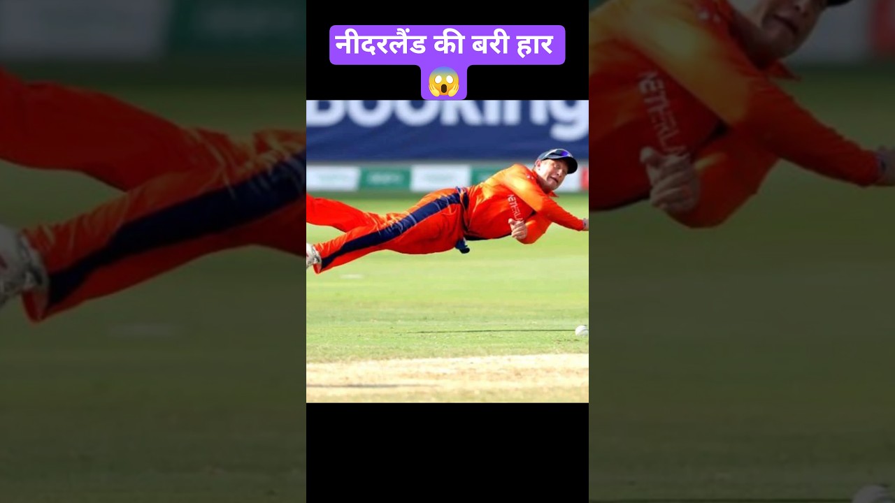 Usa vs Netherlands t20 Highlights 😱#shorts #cricket