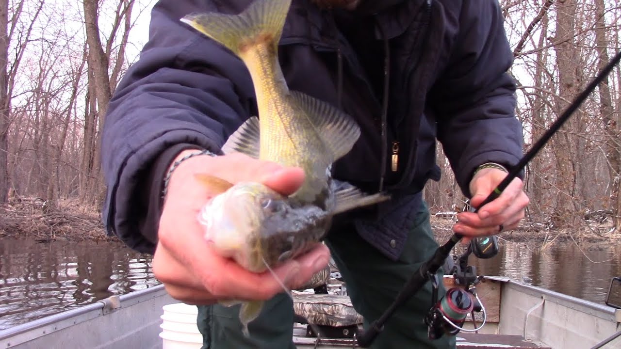 March WALLEYES Tips for Anchoring and Fishing on WOLF River (Helping Young men Catch a PB Walleye)