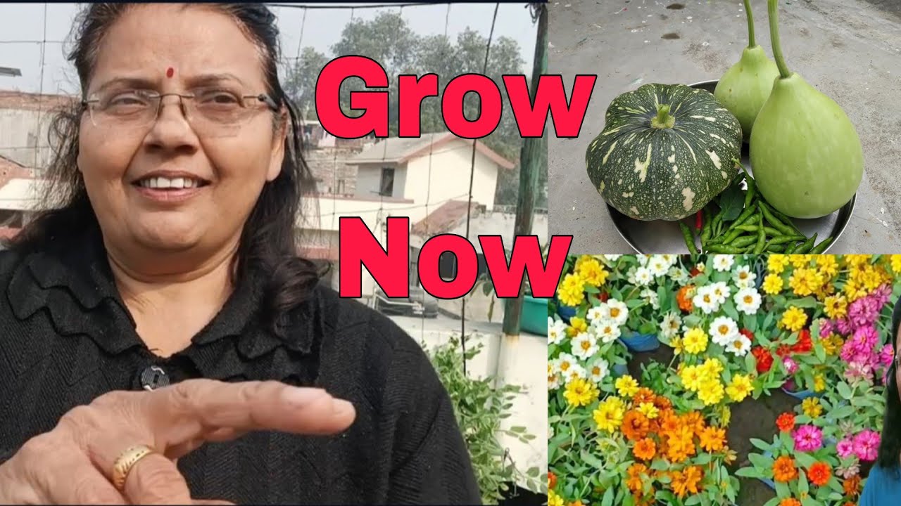 शुरू करे उगाना इन बीजों को |ये सब्जी फूल कंद वाले पौधे उगेगी जनवरी फरवरी से