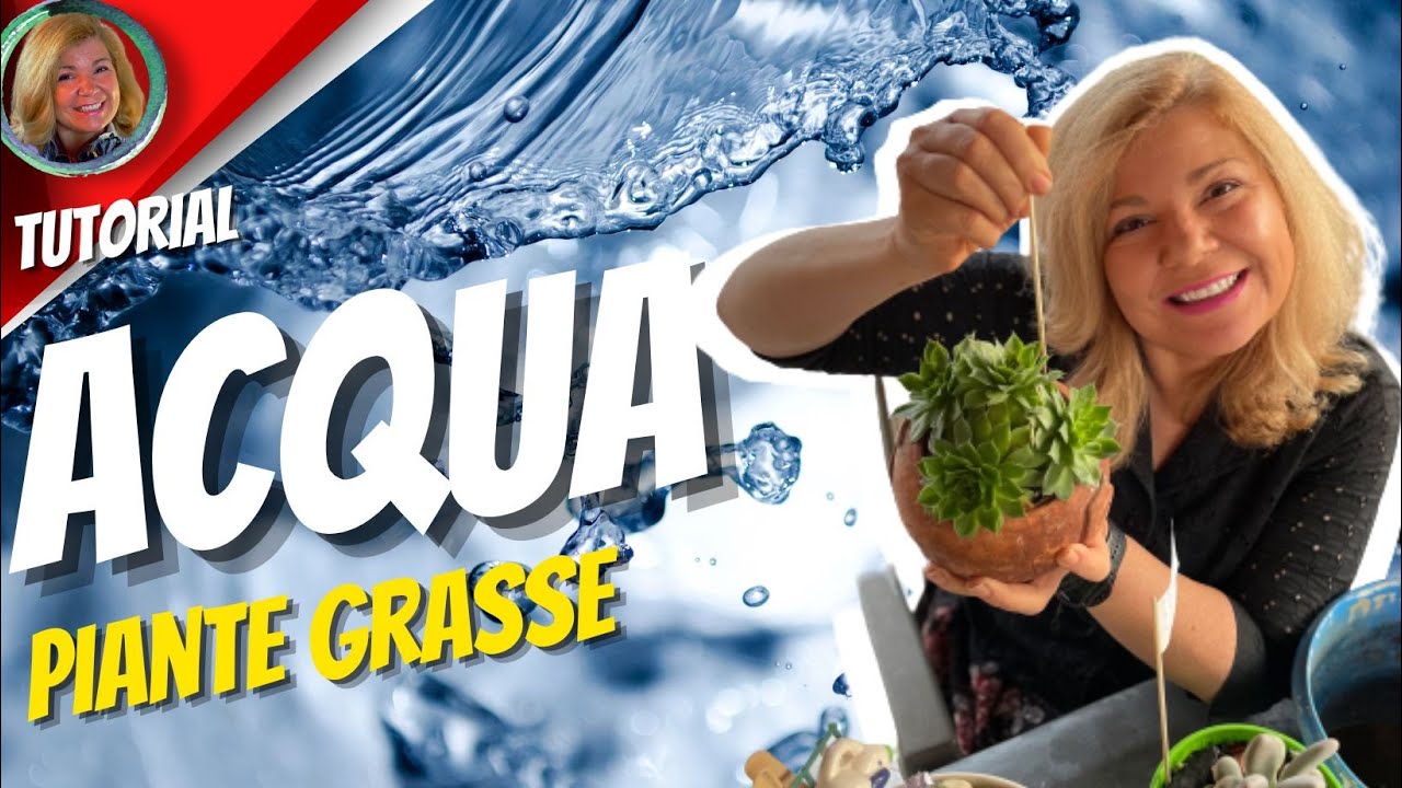 ACQUA ALLE PIANTE - GUIDA DEFINITIVA