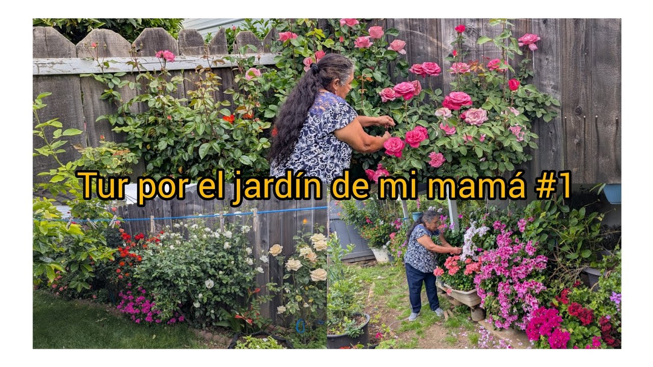 Tour por el jardín de mi mamá de abril 2025 #1