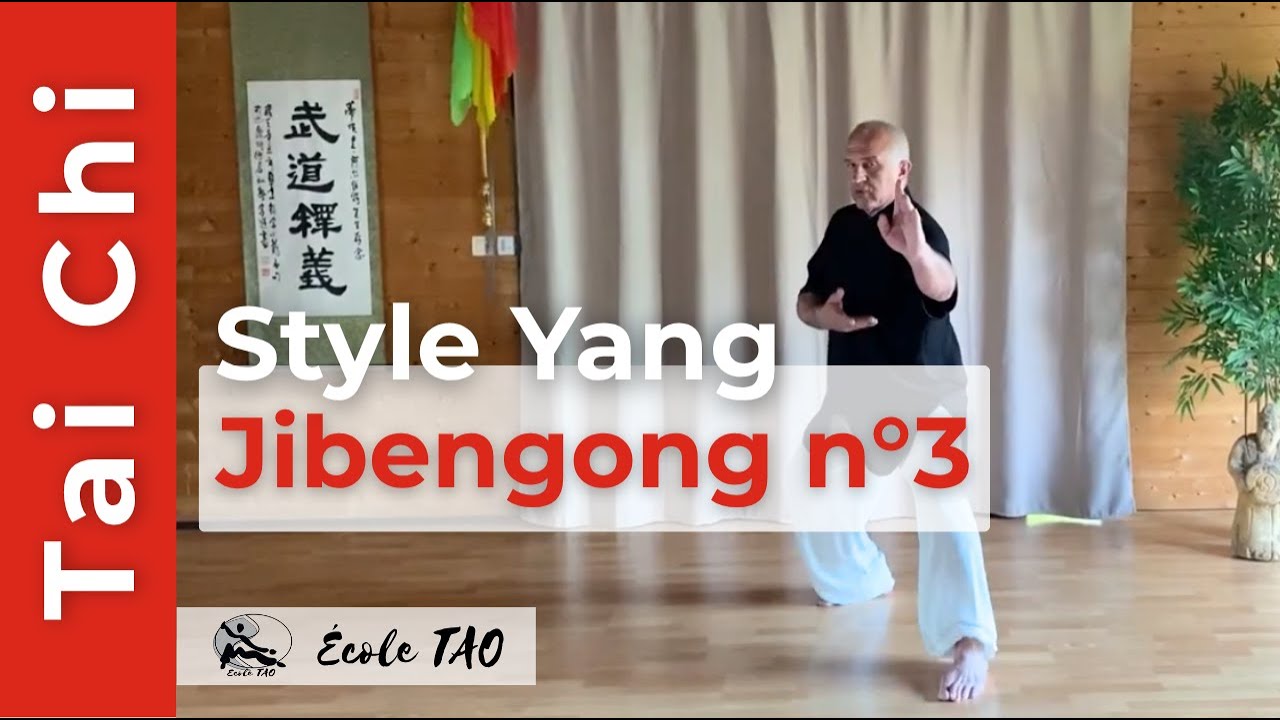 Jibengong n°3 par Thierry Alibert - 7ème Dan FFK