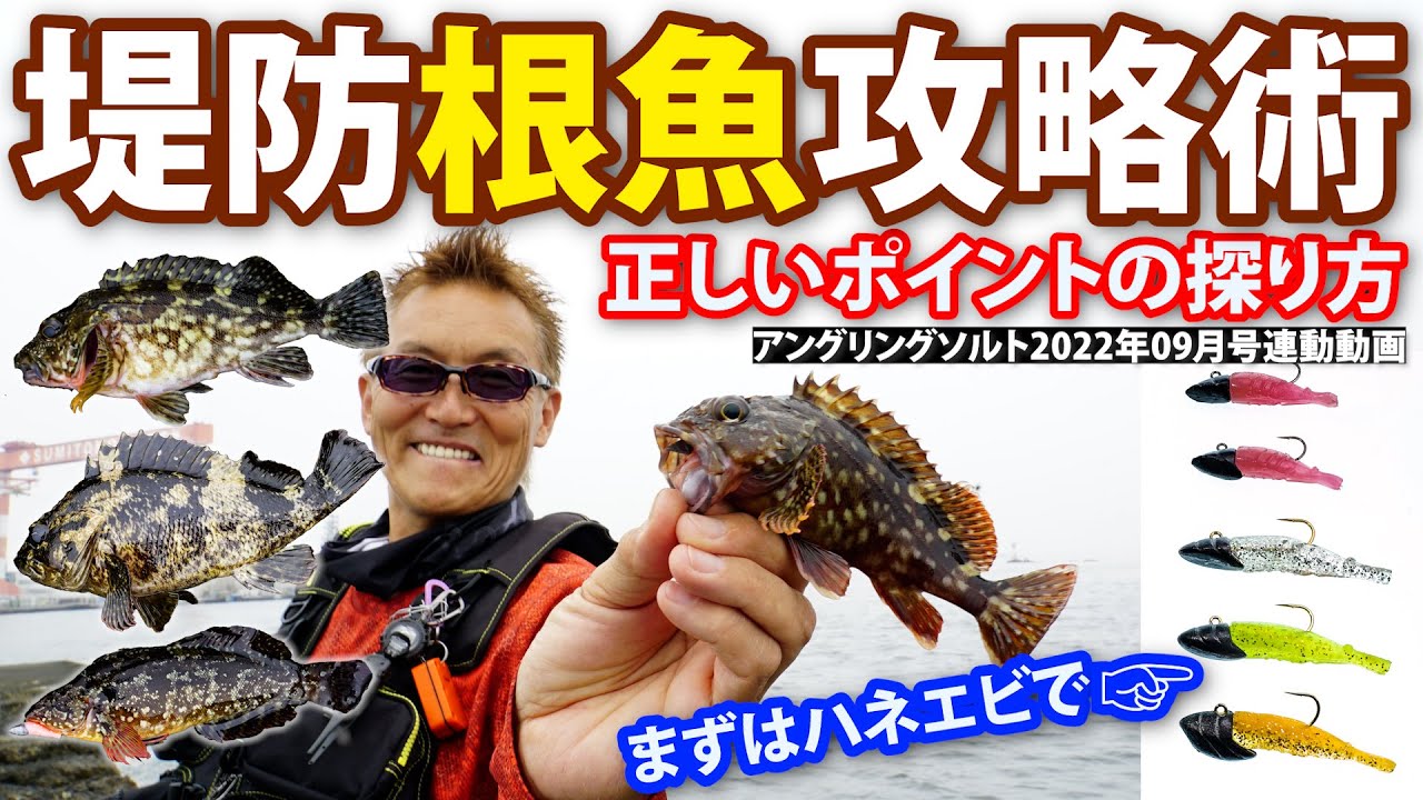 【堤防根魚攻略術】正しいポイントの探り方～村上晴彦（むらかみ・はるひこ）