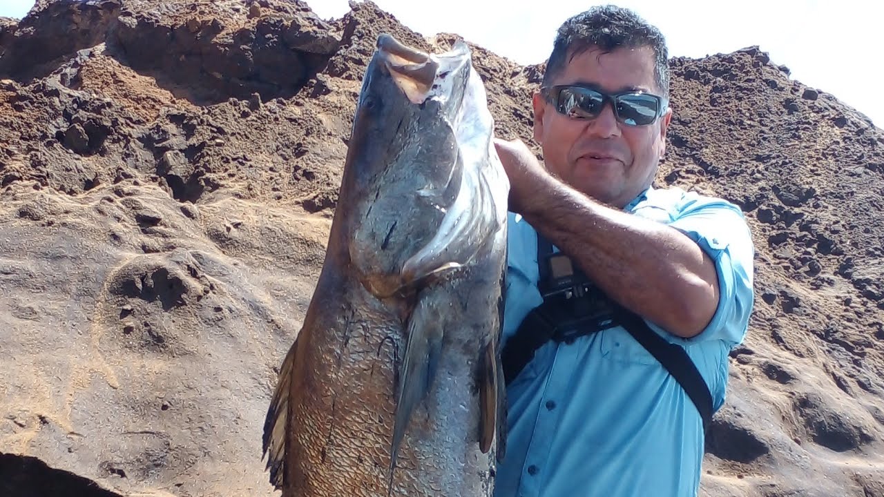 PESCA DE ORILLA