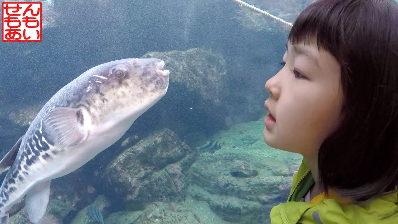 アクアワールド大洗 Aqua World Oarai Aquarium