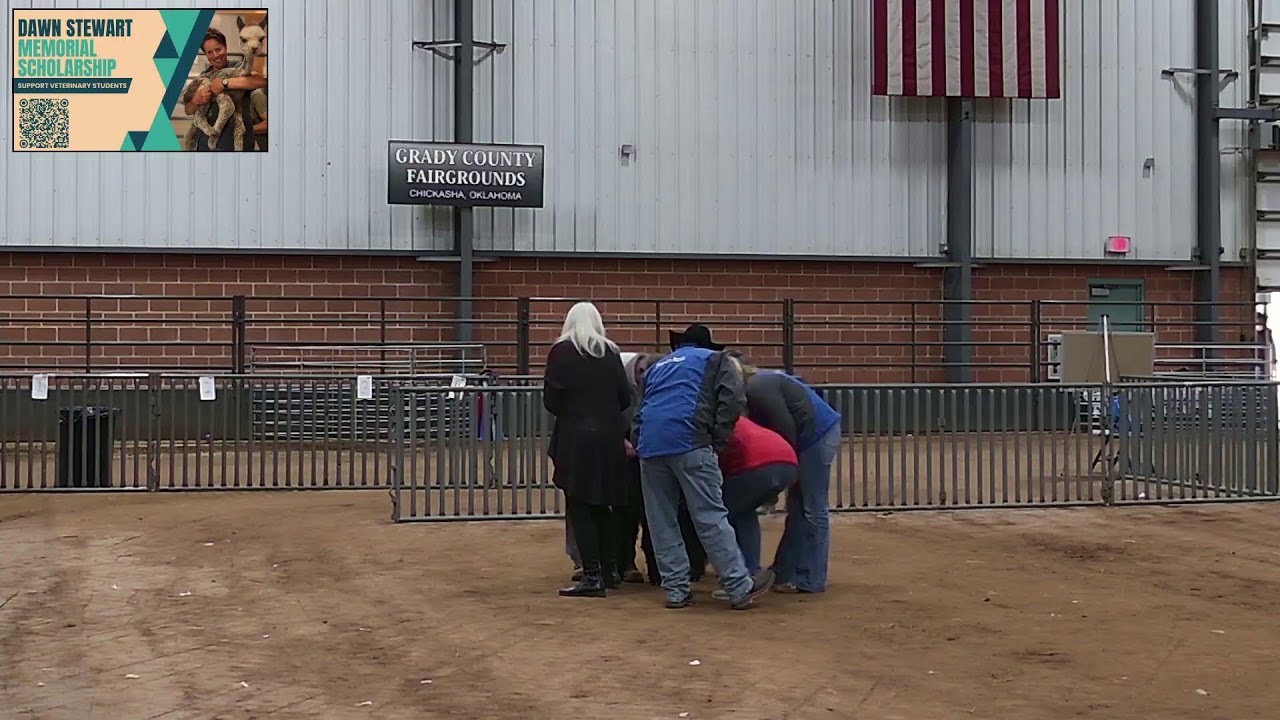 2025 Mazuri AOA National Alpaca Show