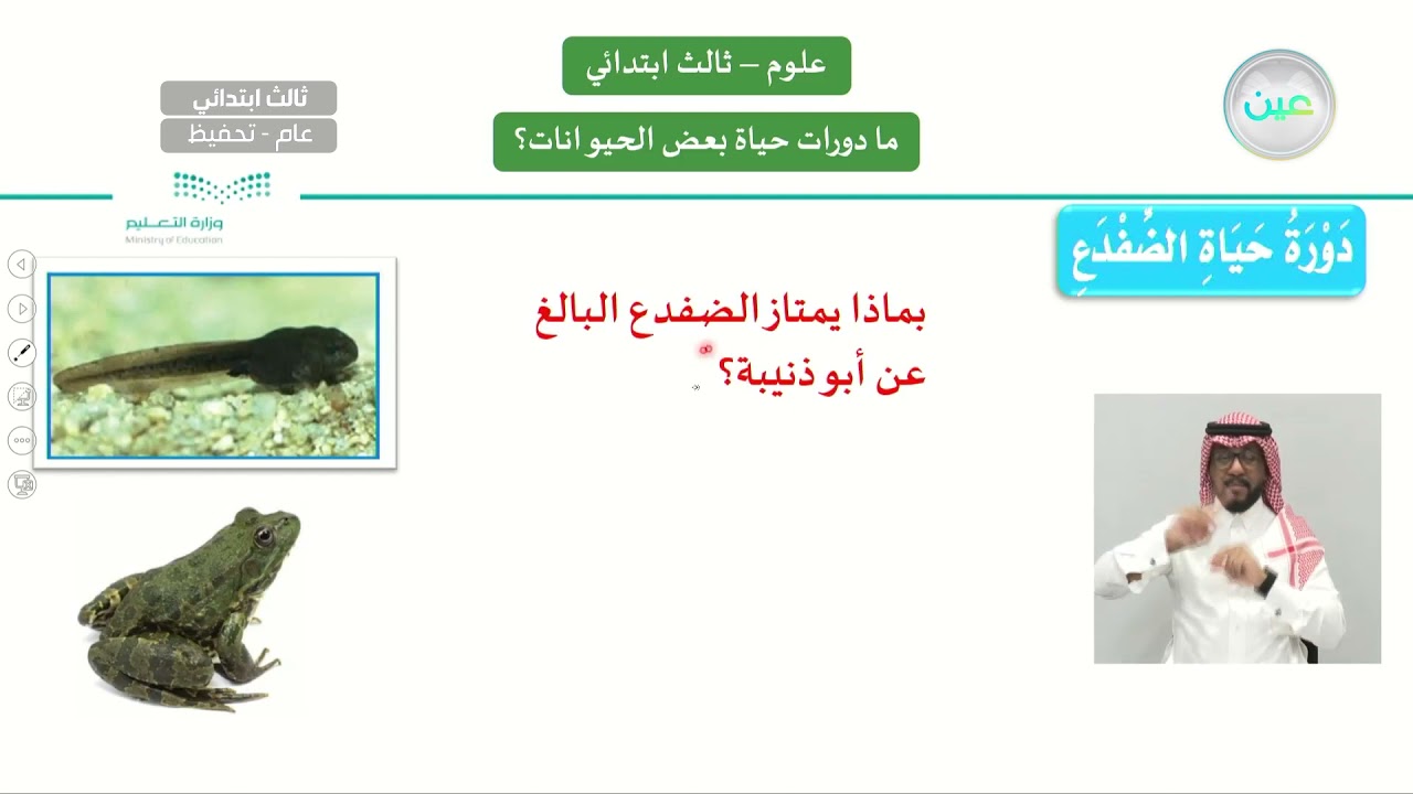 ما دورة حياة بعض الحيوانات  - العلوم - ثالث ابتدائي