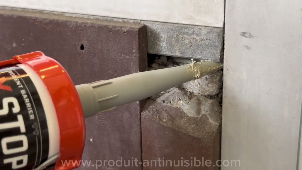 Bloquez les rats et souris définitivement avec le mastic RAXSTOP® – Tuto simple et efficace !